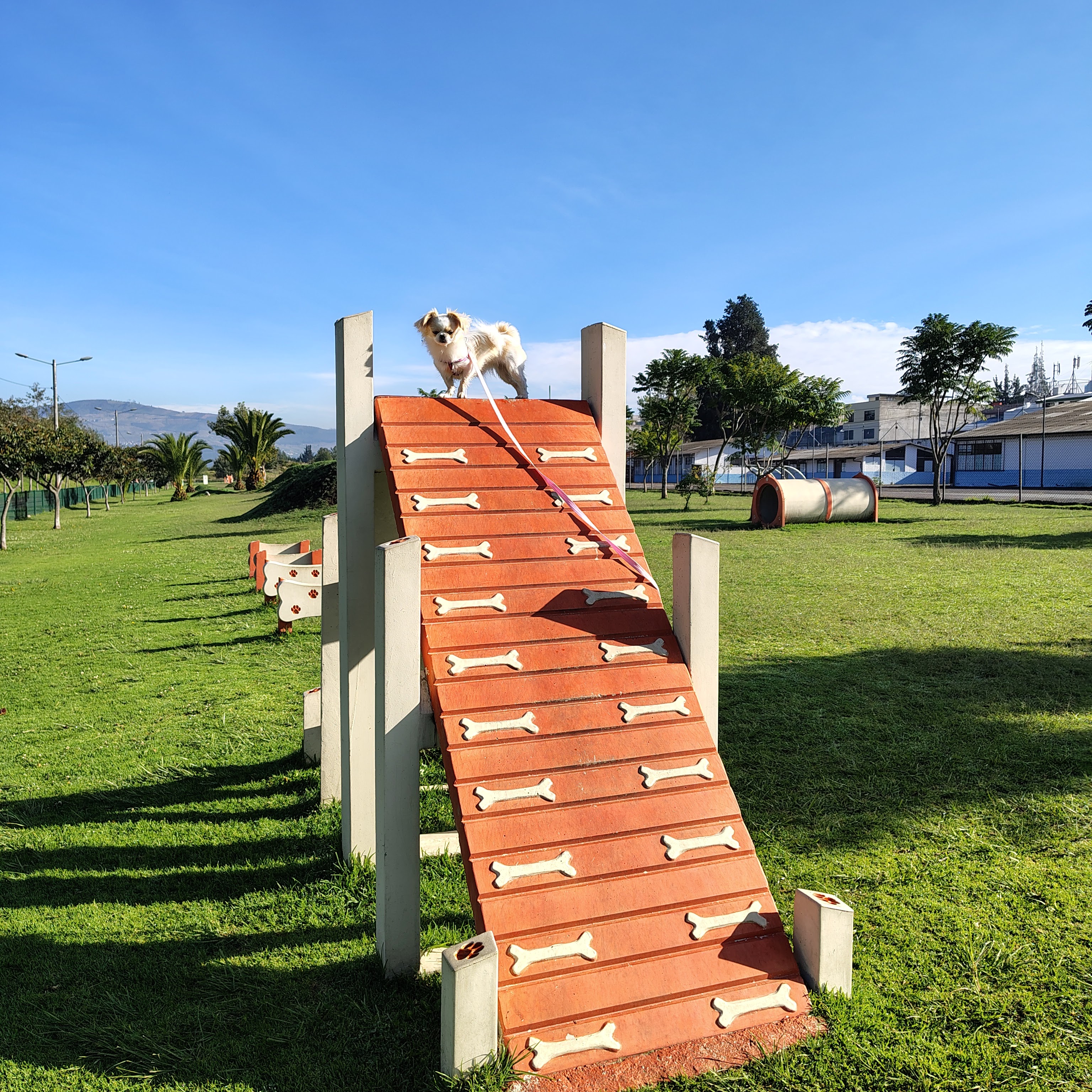Parque Bicentenario 15